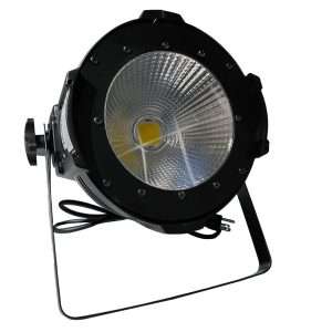 PL 100W PAR LED