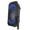 Parlante Portable Go Fiesta 6.5