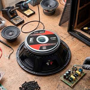 Parlantes de 15"